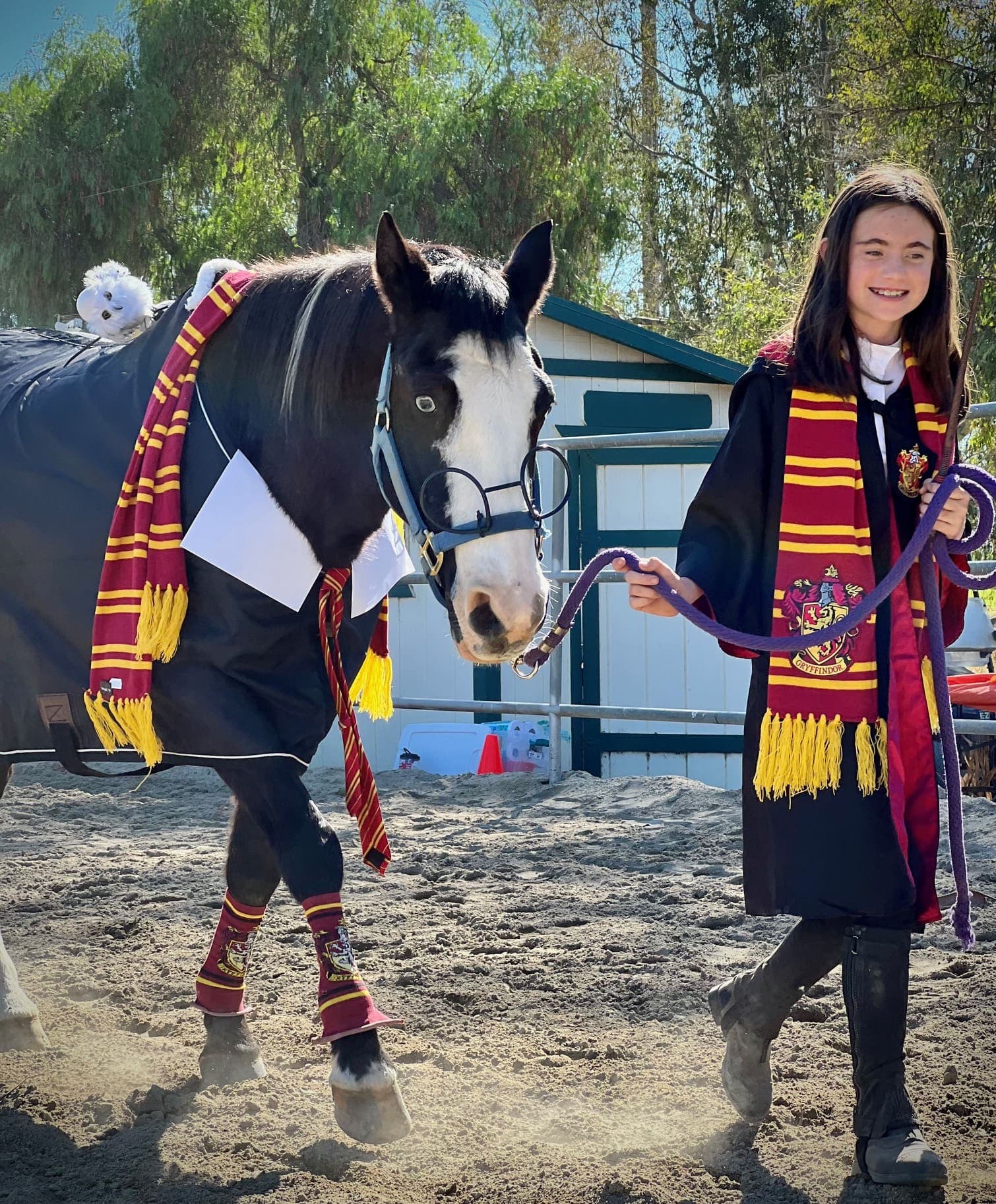 A young rider dressed as a Hogwarts student leading a black-and-white horse wearing round glasses, a Gryffindor scarf and a plush owl on its back
