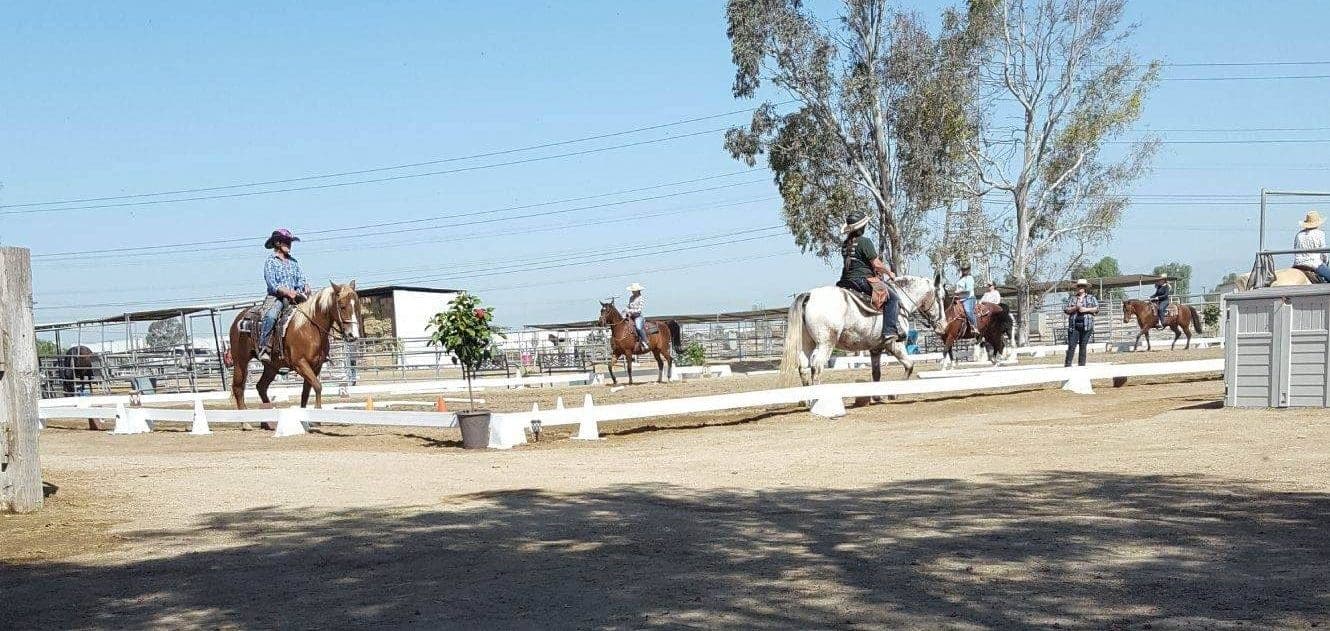 Riders working a western dressage pattern in the white-railed court on a clear morning